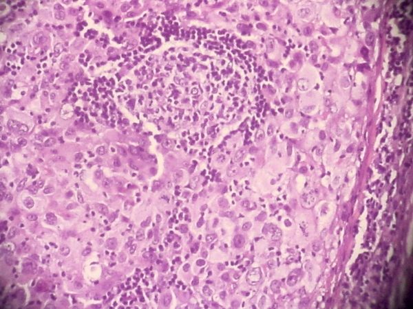 Figure 1 - <div style=